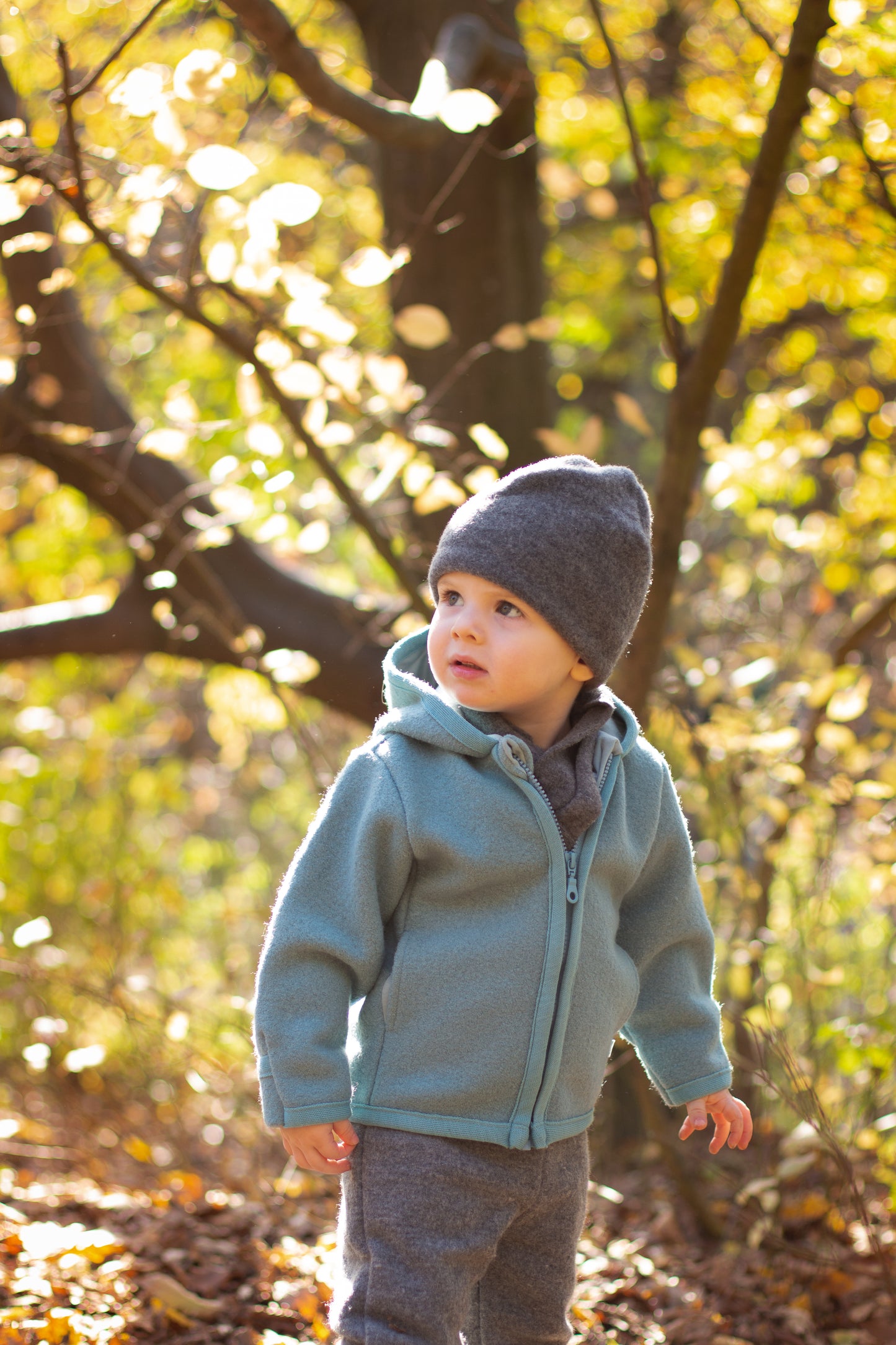 Popolini | Wollwalkjacke mit Kapuze | Petrol