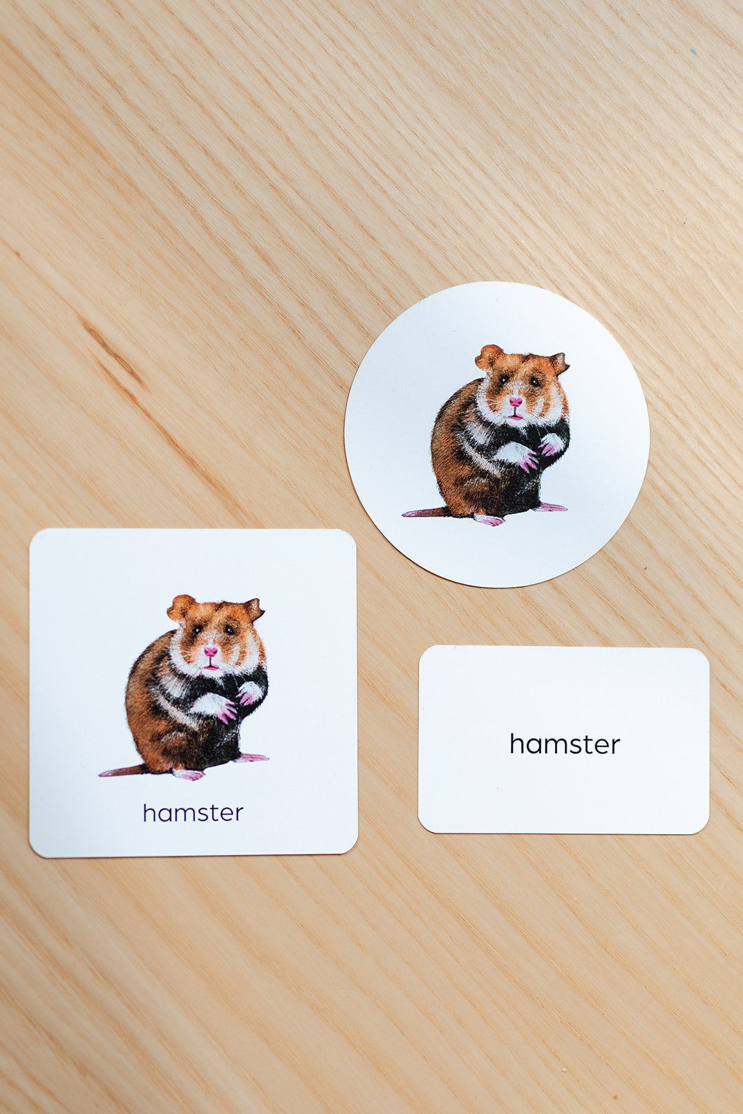 MAREMINI | Baby Memo Flashcards | Ententanz (Deutsch)
